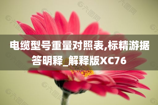 电缆型号重量对照表,标精游据答明释_解释版XC76