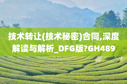 技术转让(技术秘密)合同,深度解读与解析_DFG版?GH489