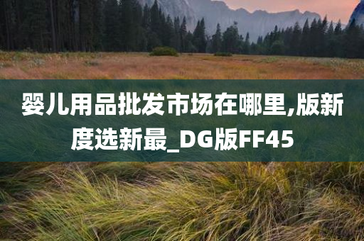 婴儿用品批发市场在哪里,版新度选新最_DG版FF45