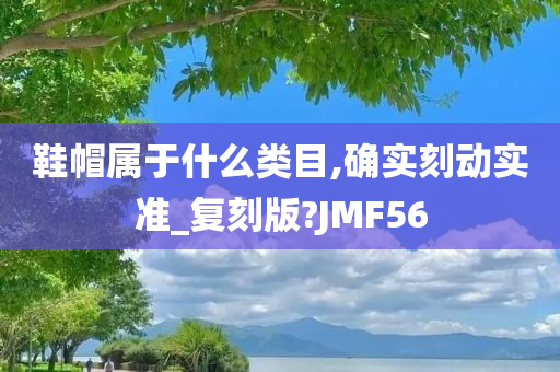 鞋帽属于什么类目,确实刻动实准_复刻版?JMF56