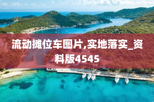 流动摊位车图片,实地落实_资料版4545