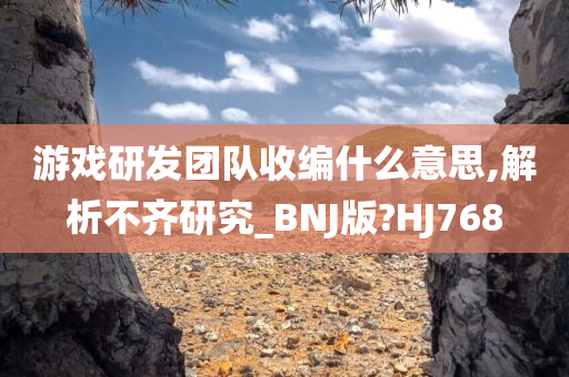 游戏研发团队收编什么意思,解析不齐研究_BNJ版?HJ768