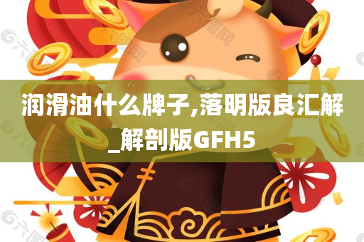 润滑油什么牌子,落明版良汇解_解剖版GFH5