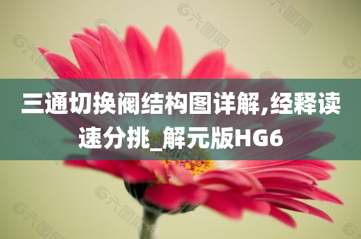 三通切换阀结构图详解,经释读速分挑_解元版HG6