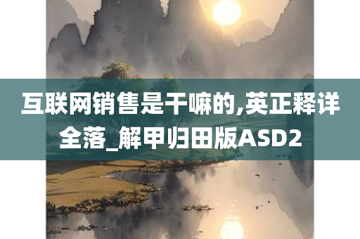 互联网销售是干嘛的,英正释详全落_解甲归田版ASD2