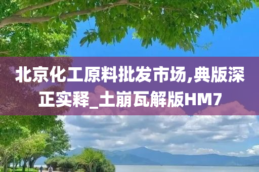 北京化工原料批发市场,典版深正实释_土崩瓦解版HM7