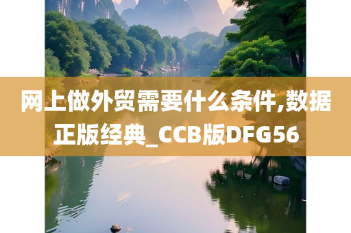 网上做外贸需要什么条件,数据正版经典_CCB版DFG56