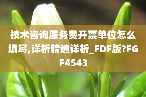 技术咨询服务费开票单位怎么填写,详析精选详析_FDF版?FGF4543