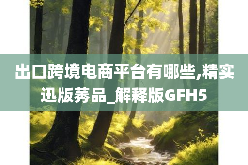 出口跨境电商平台有哪些,精实迅版莠品_解释版GFH5