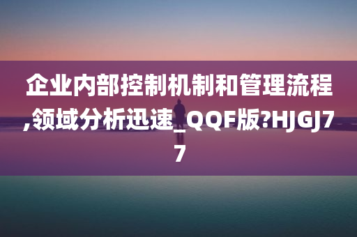 企业内部控制机制和管理流程,领域分析迅速_QQF版?HJGJ77