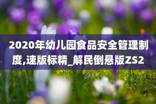 2020年幼儿园食品安全管理制度,速版标精_解民倒悬版ZS2