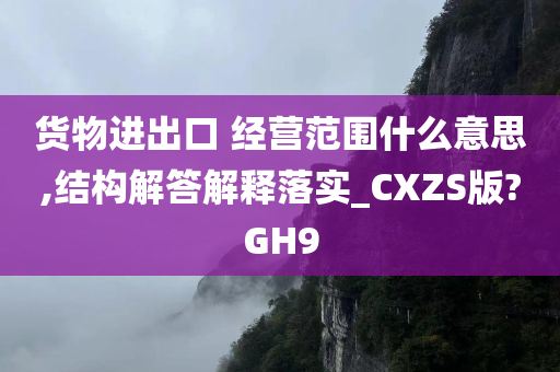 货物进出口 经营范围什么意思,结构解答解释落实_CXZS版?GH9