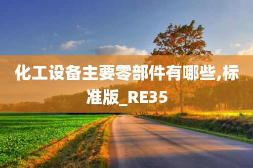 化工设备主要零部件有哪些,标准版_RE35