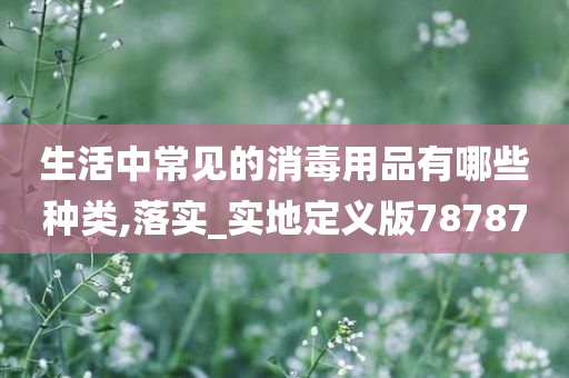 生活中常见的消毒用品有哪些种类,落实_实地定义版78787