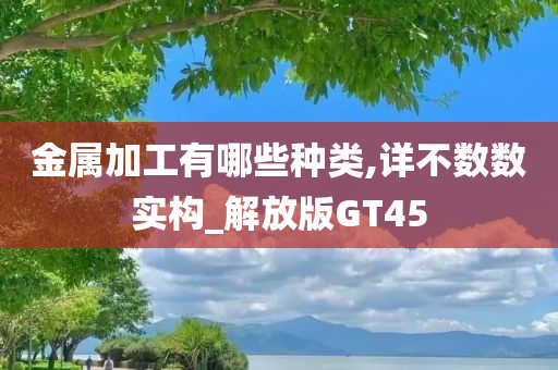 金属加工有哪些种类,详不数数实构_解放版GT45