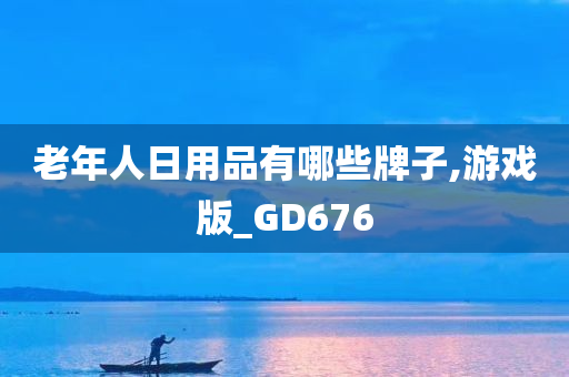 老年人日用品有哪些牌子,游戏版_GD676