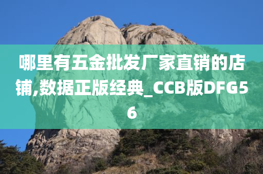 哪里有五金批发厂家直销的店铺,数据正版经典_CCB版DFG56