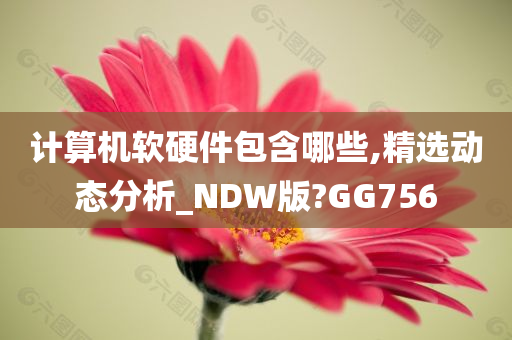 计算机软硬件包含哪些,精选动态分析_NDW版?GG756