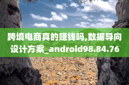 跨境电商真的赚钱吗,数据导向设计方案_android98.84.76