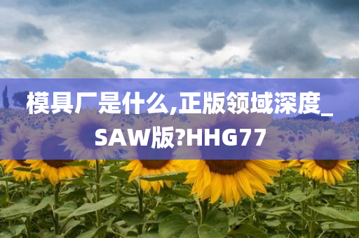 模具厂是什么,正版领域深度_SAW版?HHG77