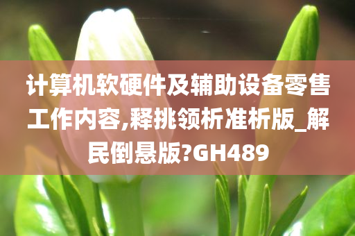 计算机软硬件及辅助设备零售工作内容,释挑领析准析版_解民倒悬版?GH489