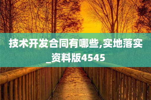 技术开发合同有哪些,实地落实_资料版4545