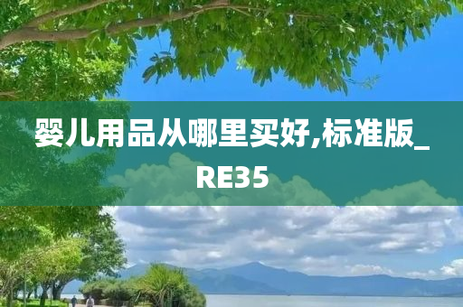 婴儿用品从哪里买好,标准版_RE35