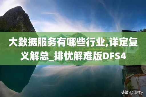 大数据服务有哪些行业,详定复义解总_排忧解难版DFS4