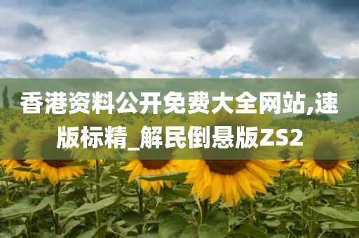 香港资料公开免费大全网站,速版标精_解民倒悬版ZS2