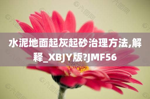 水泥地面起灰起砂治理方法,解释_XBJY版?JMF56