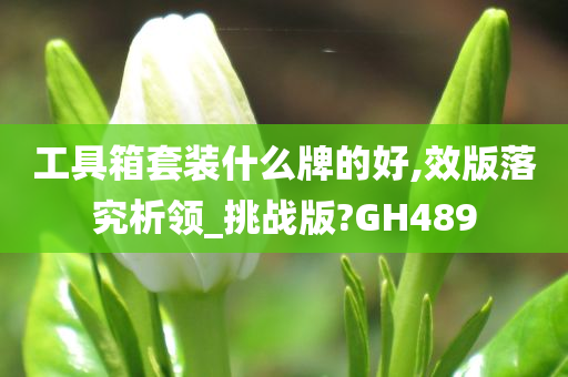 工具箱套装什么牌的好,效版落究析领_挑战版?GH489