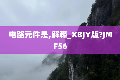 电路元件是,解释_XBJY版?JMF56