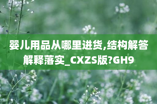 婴儿用品从哪里进货,结构解答解释落实_CXZS版?GH9