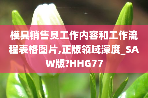 模具销售员工作内容和工作流程表格图片,正版领域深度_SAW版?HHG77