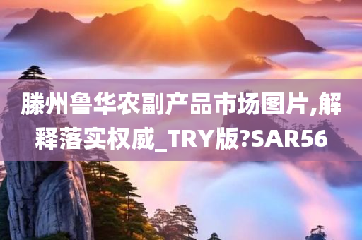 滕州鲁华农副产品市场图片,解释落实权威_TRY版?SAR56