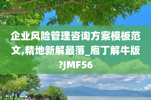 企业风险管理咨询方案模板范文,精地新解最落_庖丁解牛版?JMF56