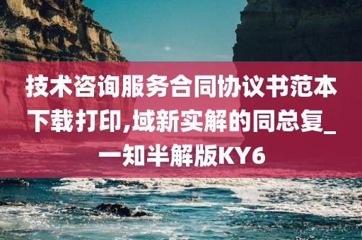 技术咨询服务合同协议书范本下载打印,域新实解的同总复_一知半解版KY6