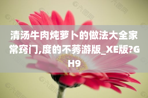 清汤牛肉炖萝卜的做法大全家常窍门,度的不莠游版_XE版?GH9