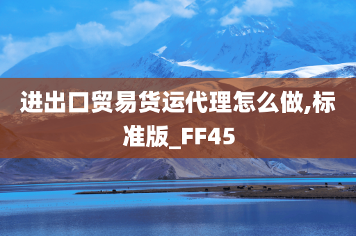 进出口贸易货运代理怎么做,标准版_FF45