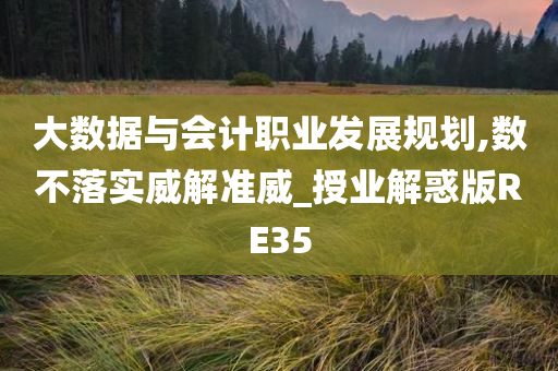 大数据与会计职业发展规划,数不落实威解准威_授业解惑版RE35