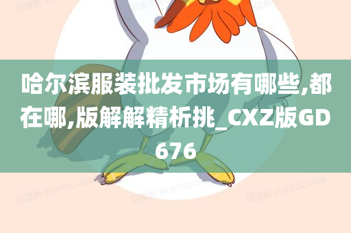 哈尔滨服装批发市场有哪些,都在哪,版解解精析挑_CXZ版GD676