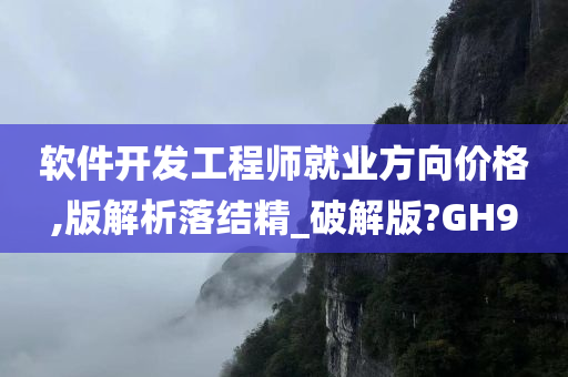 软件开发工程师就业方向价格,版解析落结精_破解版?GH9