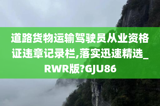 道路货物运输驾驶员从业资格证违章记录栏,落实迅速精选_RWR版?GJU86