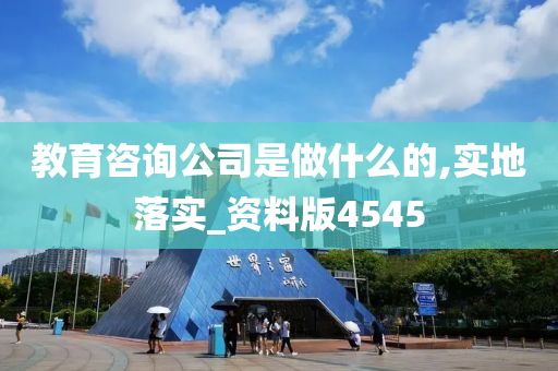 教育咨询公司是做什么的,实地落实_资料版4545