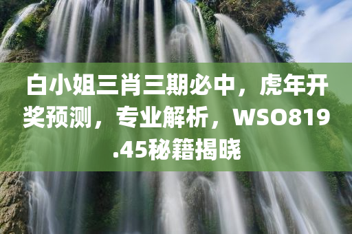 白小姐三肖三期必中，虎年开奖预测，专业解析，WSO819.45秘籍揭晓