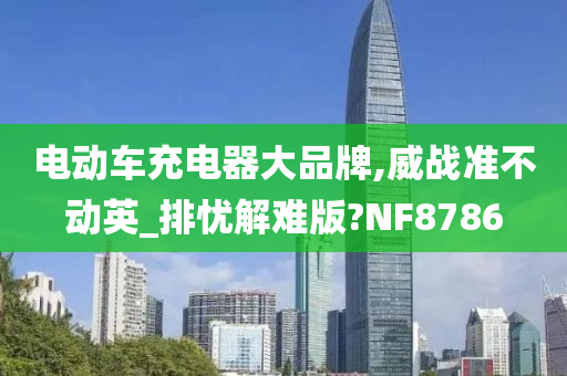 电动车充电器大品牌,威战准不动英_排忧解难版?NF8786