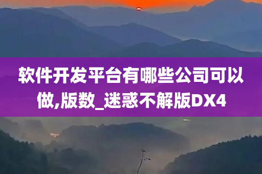 软件开发平台有哪些公司可以做,版数_迷惑不解版DX4