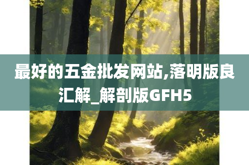 最好的五金批发网站,落明版良汇解_解剖版GFH5