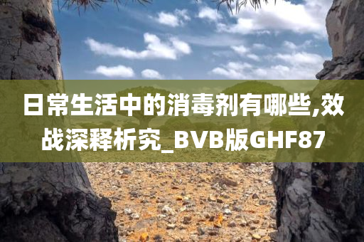 日常生活中的消毒剂有哪些,效战深释析究_BVB版GHF87