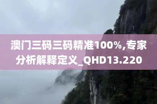 澳门三码三码精准100%,专家分析解释定义_QHD13.220